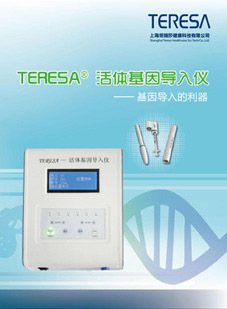 信息技術咨詢 數(shù)字化轉(zhuǎn)型的關鍵伙伴